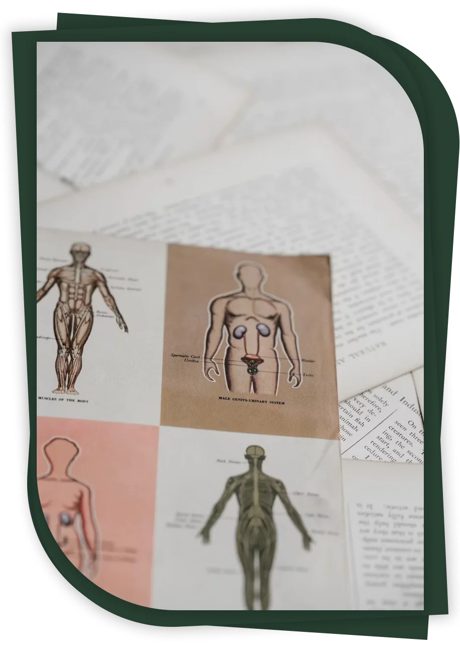 anatomia patologica1