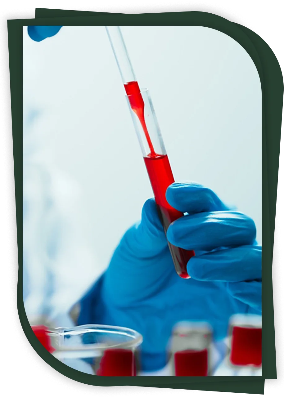 hematologia2